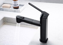 RAL winner New basin faucet Pull-out faucet Silent faucet Shampoo faucet