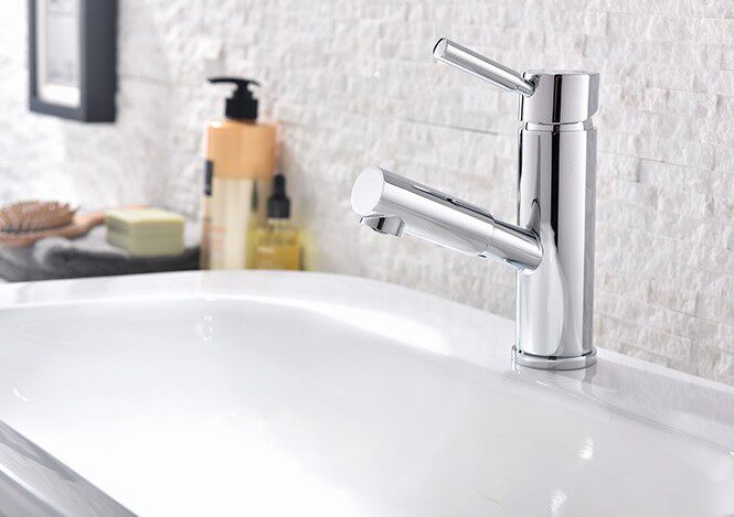 RAL winner wins New washbasin faucet Pull faucet Mute faucet Shampoo faucet
