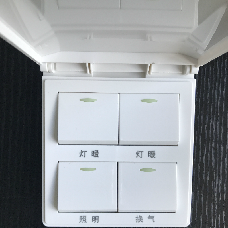 Longsheng Famous Bath Bath Tower Switch 16A four - opening Opop four - lights warm three - in - one general model 86