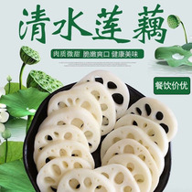 Clean water lotus root sheet Cooking Hot Pot spicy and hot fresh lotus root fried vegetables fried and cold mixed with ingredients 300 gr Fresh vegetables