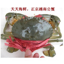 Meat crab Chengdu seafood distribution Vietnam blue crab meat fat fat beauty 500 grams with grass fresh live seafood aquatic products