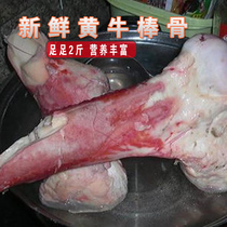 Fresh beef bone bull leg bone beef leg bone cow stick bone stew about 1000g 1 root
