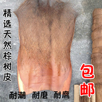 Brown hair brown skin coconut palm palm clothing brown silk brown clothing brown bark brown sticks brown sticks brown sticks natural brown flakes