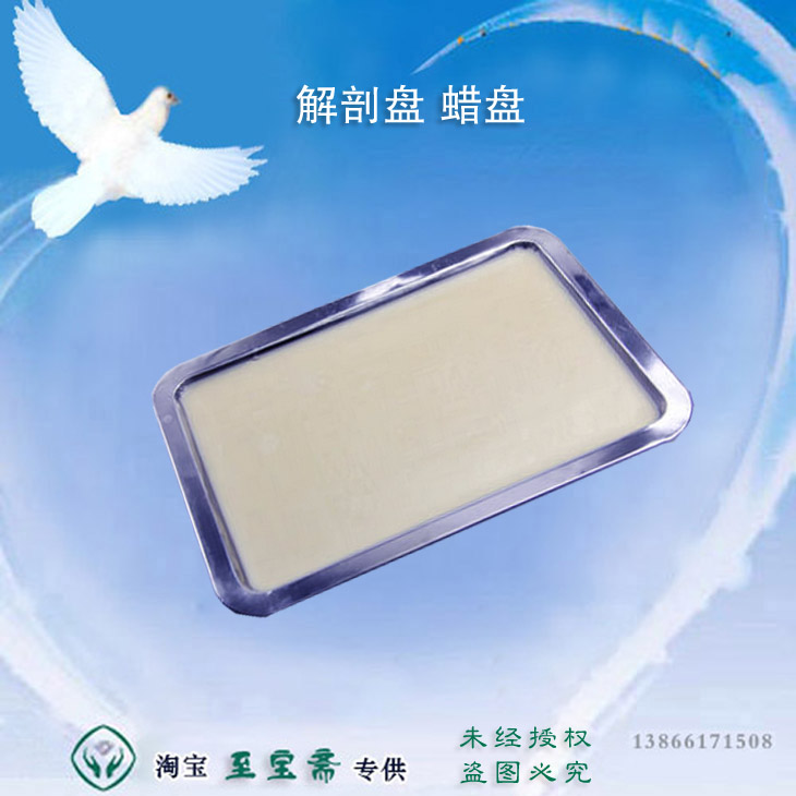 解剖盘 蜡盘 生物实验解剖工具 不锈钢盘 实验器材教学仪器可开票