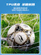 Li-Ning Soccer Ball for Elementary School Students, Junior High School Students, Exam Use, Size 5, Size 4, Children, Teenagers, Professional Competition, Adult Size Five