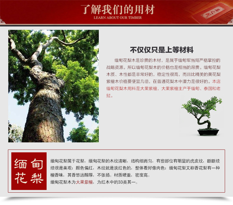 Бирманский розовый дерево.jpg