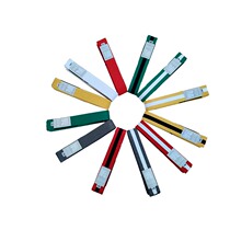 Warriors Brazilian Jiu-jitsu childrens road suit belt Cotton core road belt color BJJ Road belt