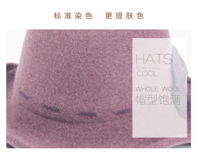 Chapeau pour femme en Poilue - Ref 3233384 Image 11