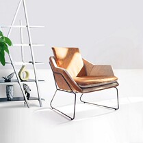 Nordic Iron Art Sofa Casual Single Sofa Chair Studio Café Modern Minimalist Designer Sloth Sofa