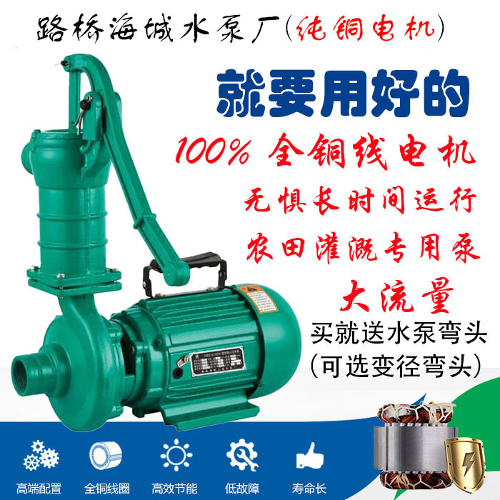 Road and Bridge Sea City Water Pump Well Pumping Pump Special Price Agricultural Water Pump Single-Phase Centrifugal Well Pumping Pump Hand Well Pumping Pump All Copper Wire