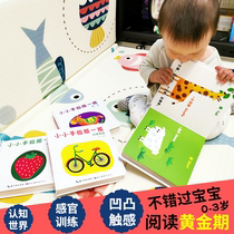 4 good quality early education cognitive book Digital animal Baby Touch book cant tear bad child literacy card 0123 years old