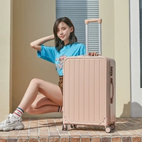 Порошок Cornus officinalis 2/8 открытая 𫔭 обновленная версия