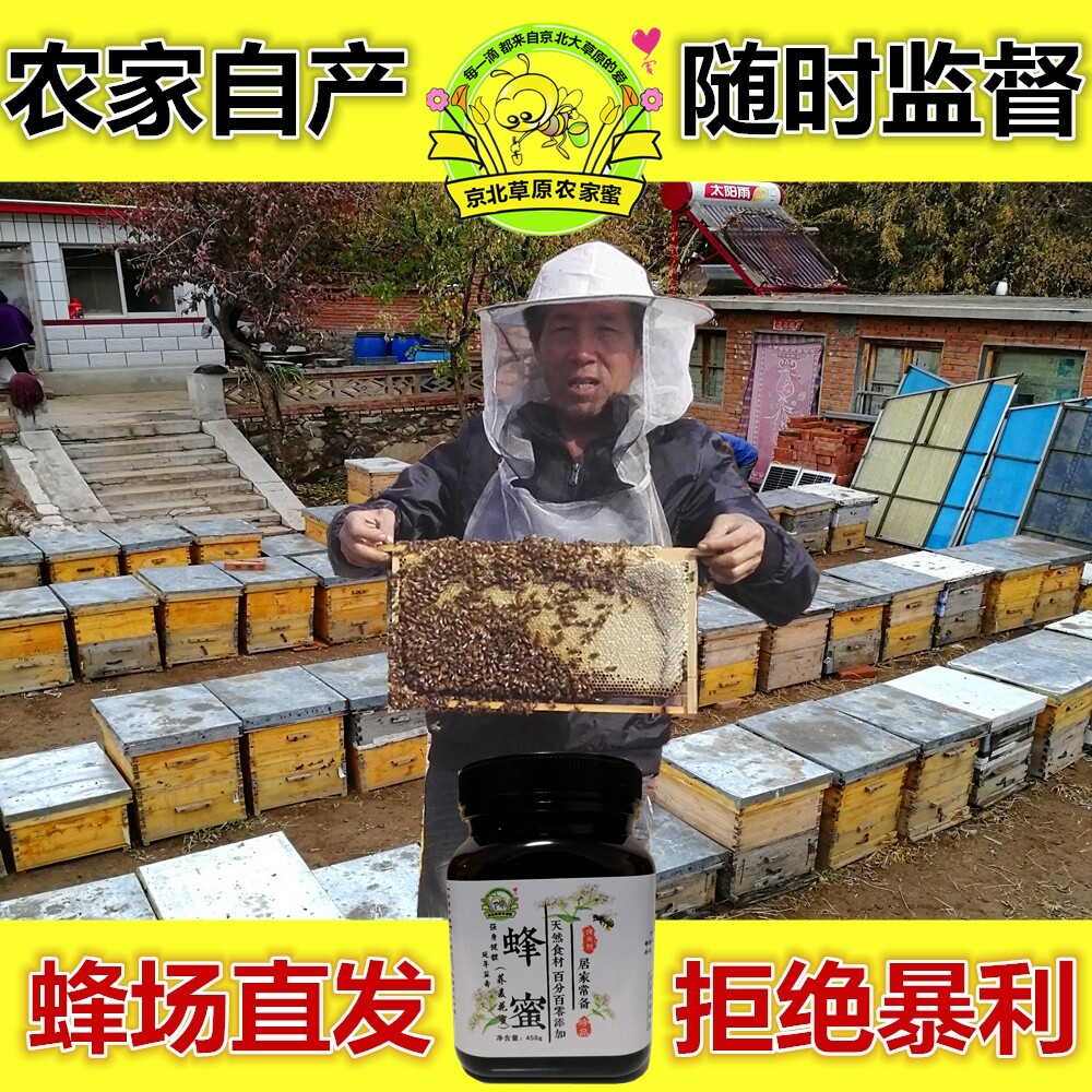京北草原蜂蜜纯天然农家自产荞麦蜂蜜野生蜜蜂结晶蜜蜂场直销
