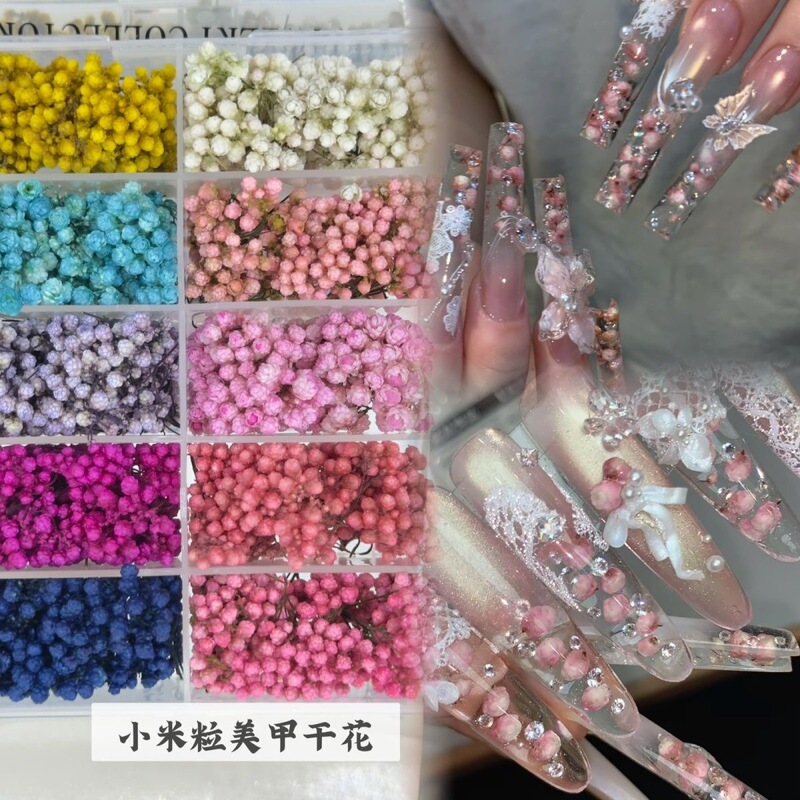 Nail Art Small Flower Buds, Dried Flowers, Floral Nail Decorations, DIY Mixed Dried Flower Material Pack, Nail Art Photography Material Pack Nail Art Small Flower Buds, Dried Flowers, Floral Nail Decorations, DIY Mixed Dried Flower Material Pack, Nail Art Photography Material Pack