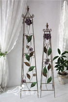 Two-piece set of wrought iron flower climbing frame climbing vine garden gardening groceries foreign trade proofing solitary products