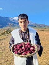 On November 17th 2 bottles of dark red roses are available from Laotian Mountain.
