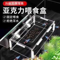 Fish Tank Feeder Fixed-Point Anti-Drift Feeding Ring Fish Food Fish Feed Fish Food Feeding Box Acrylic Suction Cup Fixed