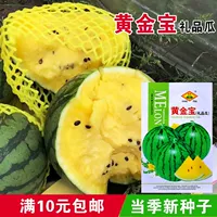 Золотой сокровище подарок арбуз/около 40 капсул [1 сумка]