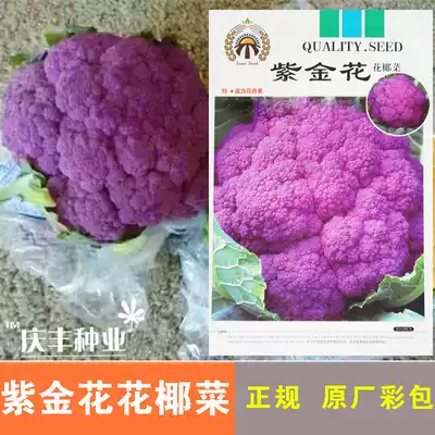 蔬菜种子花椰菜种子松花菜西兰花宝塔菜花紫菜花春秋播耐热