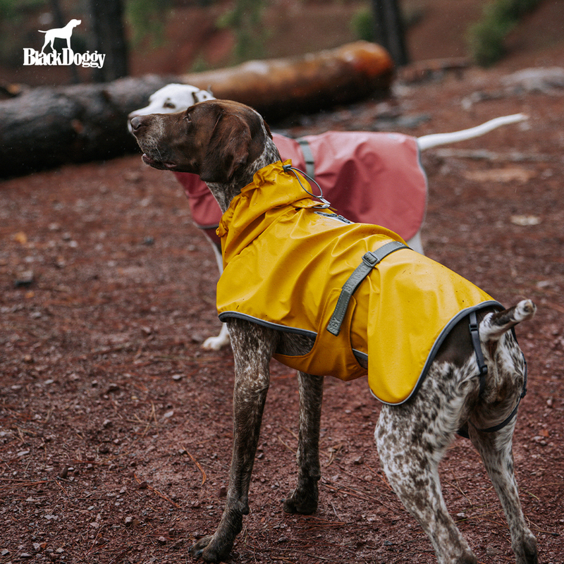 Blackdoggy Dog Waterproof and Windproof Jacket Outdoor Waterproof Raincoat for Medium and Large Dogs Shiba Inu Teddy Dog Rain Poncho