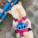 Крупник для питомца, триггер Rafweir Dog Senge Destrap Dornaments Studi Vinone мыши кошелек медведь