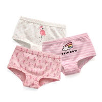 Установка Firebird Comminate-3