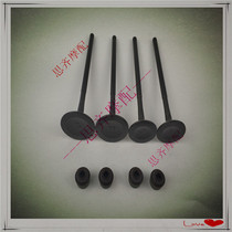 Engine NC250 Guizun Huayang Wave speeder Xinyuan Spring seat ring RX3 Zongshen valve