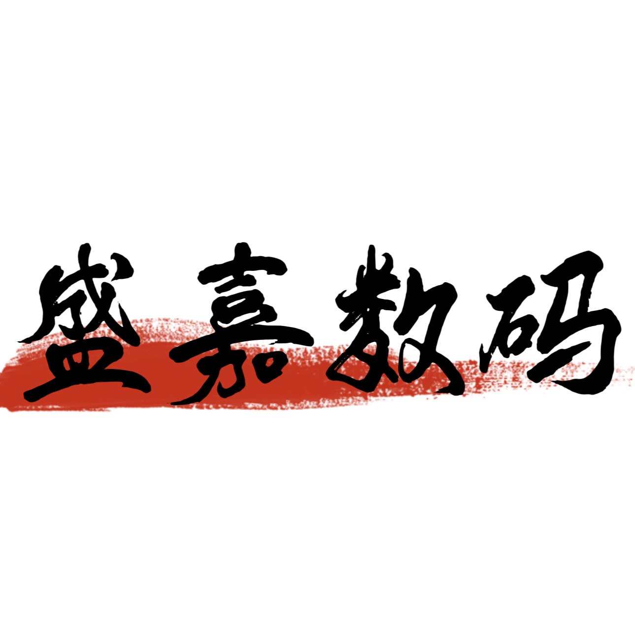 北京盛嘉数码科技维修店