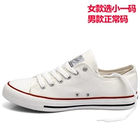 Белый/391t 【низкая банда】