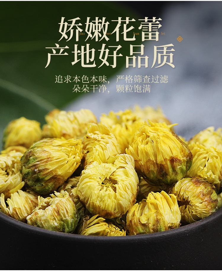 金银花菊花茶组合桐乡胎菊茶