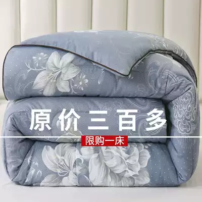 Silk quilt 100 mulberry silk winter thickened 4 6 10kg 8 winter quilt Four Seasons universal spring and autumn quilt quilt core