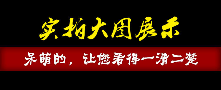 survêtement sport - Ref 562818 Image 13