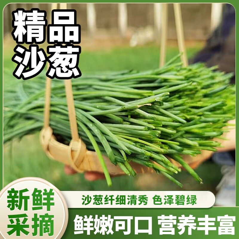 大漠鲜产的LOGO