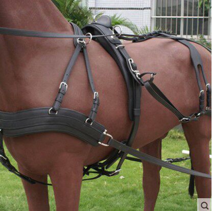 A full set of anti-eye-mask superfibres for horse sets