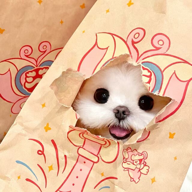 小野妹妹