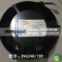 DV6248 19P fan brand new original German ebmpapst fan DV6248 19P 44W 48V