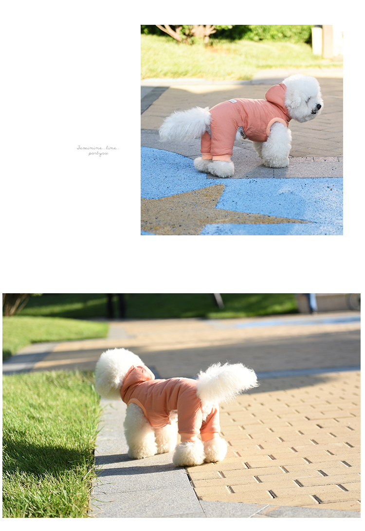 Quần áo chó con Quần áo mùa đông Quần cotton bốn chân dày Quần áo gấu hơn quần áo thú cưng Quần áo Xue Narui - Quần áo & phụ kiện thú cưng áo khoác cho chó