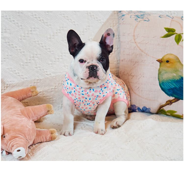 Fat dog quần áo chiến đấu quần áo starling trang phục đấu bò gói quần áo bụng nam chó chó nữ - Quần áo & phụ kiện thú cưng áo vest cho mèo