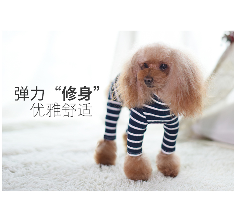 Quần áo cho chó con chó con chó quần áo mùa xuân và mùa hè Quần bốn chân Quần áo gấu hơn quần áo gấu bông mùa xuân - Quần áo & phụ kiện thú cưng quan ao thu cung