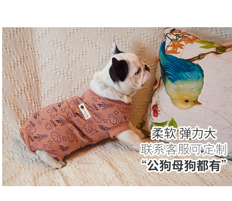 Đen bé cưng trang phục túi bụng nam chó nữ quần áo chó béo chó đấu bò quần áo luật mùa xuân và quần áo mùa thu tám anh em - Quần áo & phụ kiện thú cưng phụ kiện thú cưng