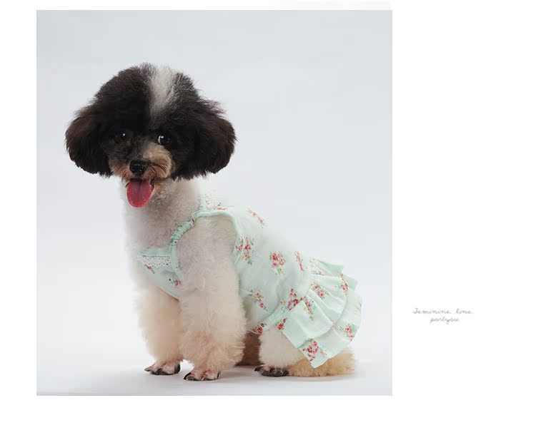 Quần áo trẻ em màu đen cotton mùa hè váy váy chó quần áo mùa xuân và quần áo mùa hè Teddy váy váy hoa - Quần áo & phụ kiện thú cưng nón cho mèo