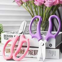 Floral Artist Flower Arrangement Special Scissors Repair Branches Cutting Garden Art Tools Flowers Branches Flowers Pruning Twigs Bonsai Flowers Cut