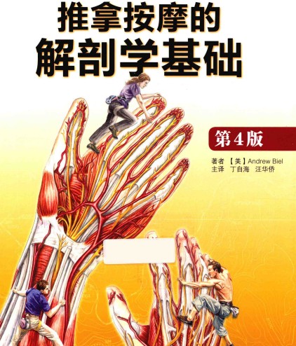 Anatomy of Health Therapy Tuina Massage Anatomy Basic Health Care Tuina Massage Anatomy Basic Massage