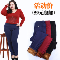 Special large size plus velvet pants women 200 pounds wear large size pants gold velvet pencil pants high waist stretch