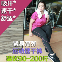 The large yard fat MM Summer Fitness Pants female trousers strength and thin yoga tight pants 200 pounds