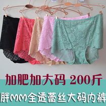 Foreign Trade Large Code underwear female fat MM sexy lace full pants delicate pants add sweaters
