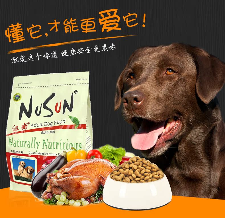Thức ăn cho chó Labrador Chó trưởng thành chuyên dụng 20 kg được bán riêng New Zealand chó lớn Labrador chó con thức ăn 3-6 tháng - Chó Staples cám royal canin