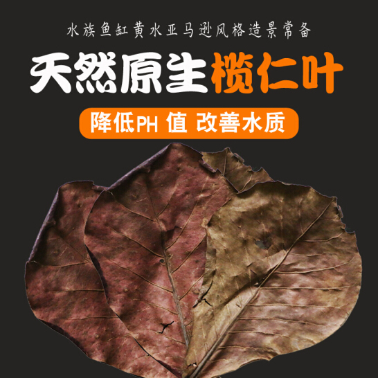 Laziness Leaf Natural Sloth People Leaf Water Group Small Tropical Fish Lamp Corfish Red Dragon Turtle Shrimp Vat Down Acid Water Group Ph Value