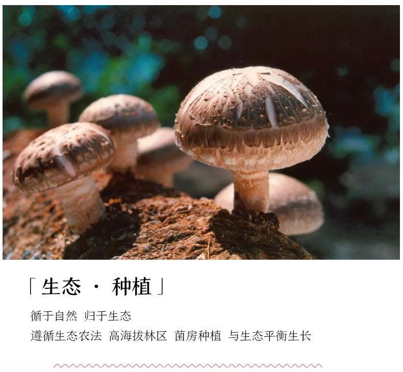 小米生态链 方家铺子 福建特产香菇菌菇干货 250g 图7