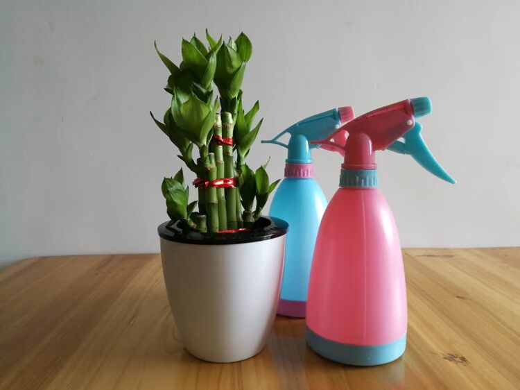 Tưới nước cầm tay mini có thể tưới nước tưới vườn cung cấp kẹo màu phun nhỏ áp lực phun tay - Nguồn cung cấp vườn thùng trồng rau thông minh